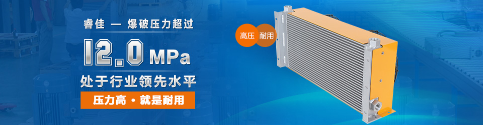 睿佳-爆表壓力超過 風(fēng)冷卻器